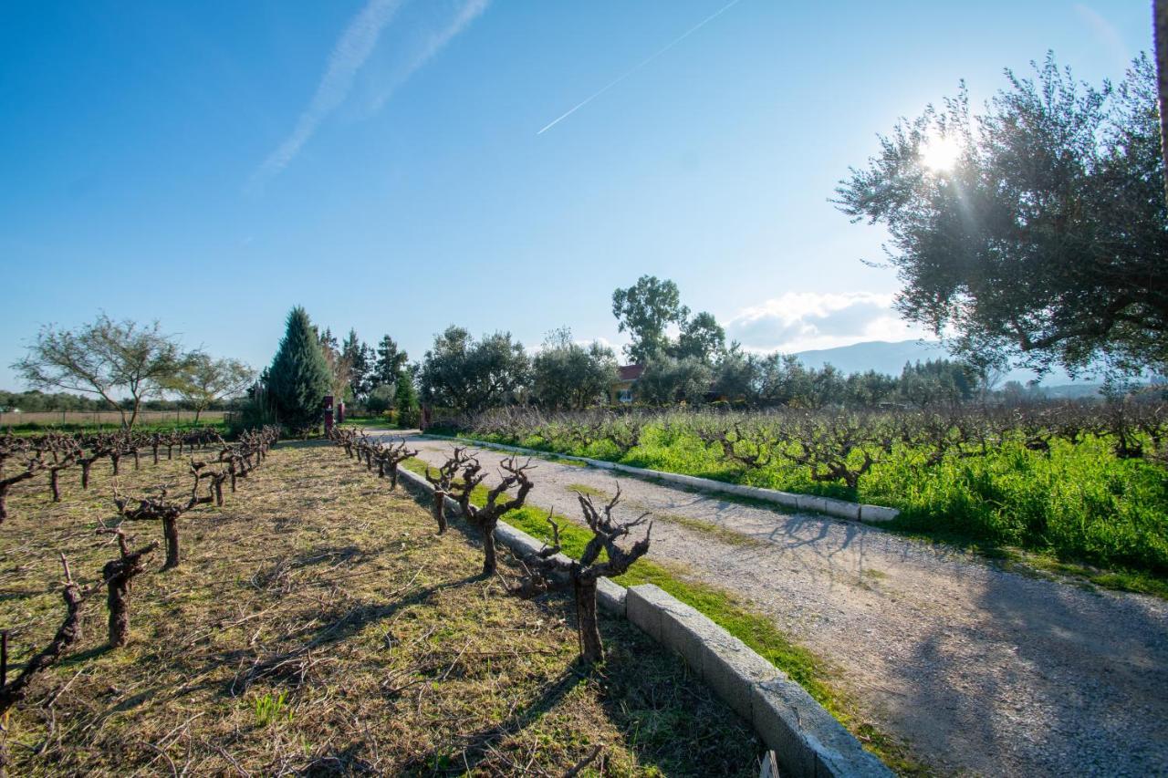 Loukas Farm House Áyios Kírikos エクステリア 写真