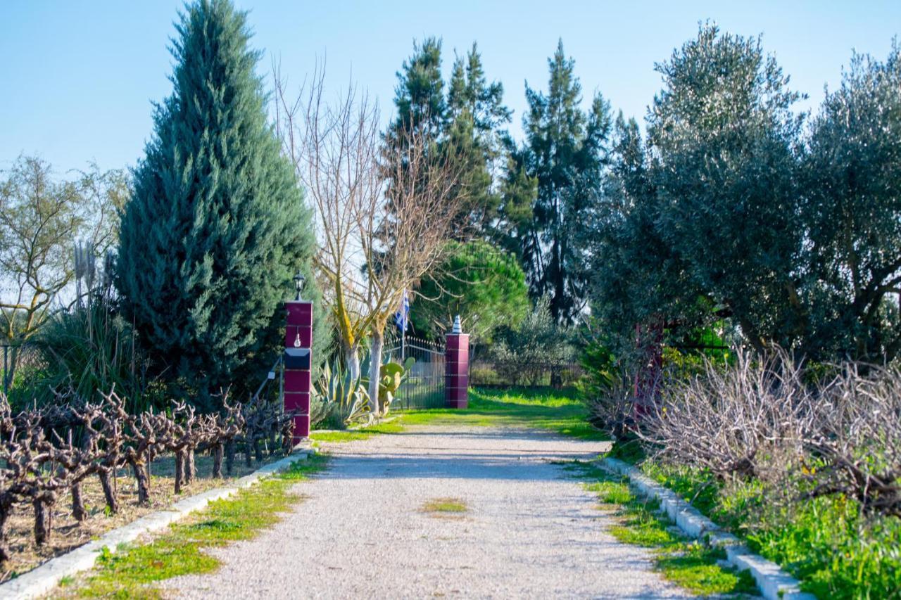 Loukas Farm House Áyios Kírikos エクステリア 写真